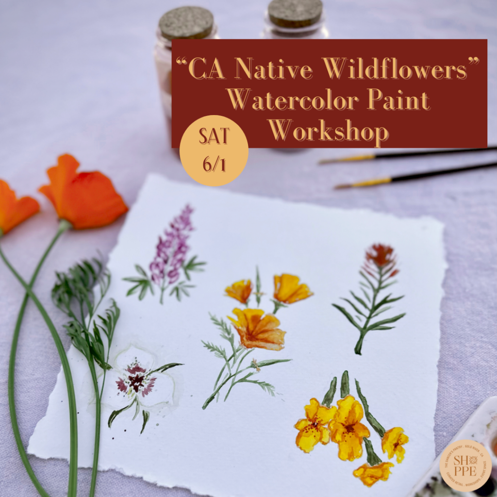 "CA Native Wildflowers" Watercolor Paint Workshop